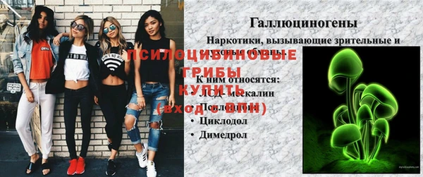 дмт Алексеевка